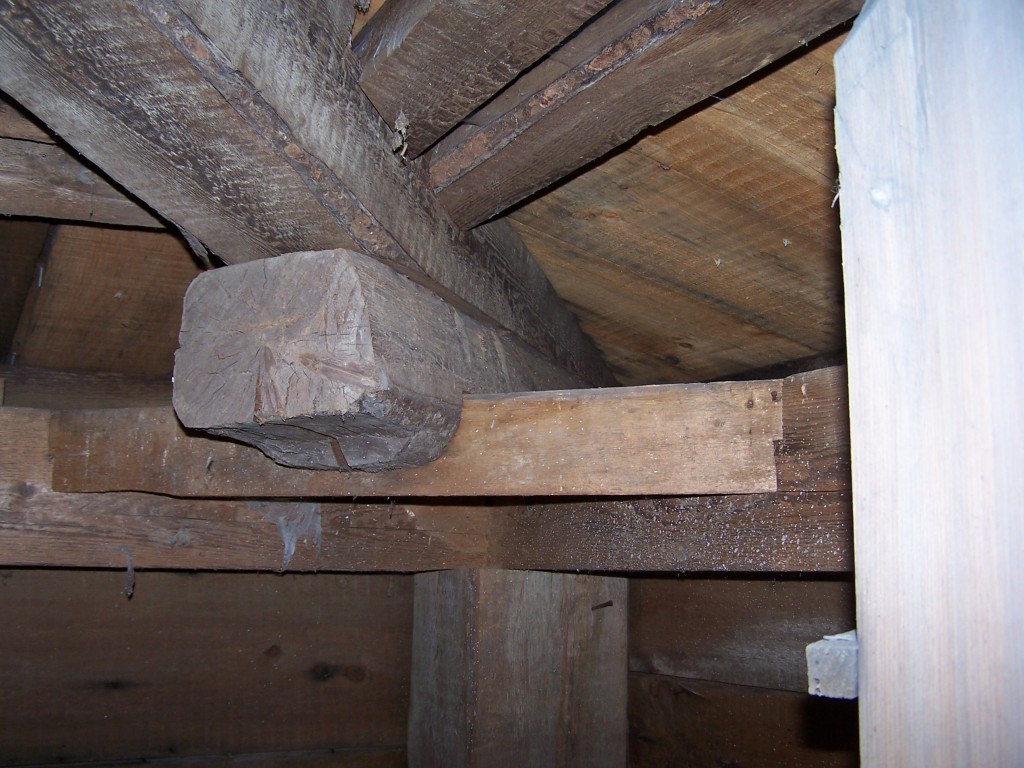 Sweet dragon and cross in tower hip roof Sweet dragon and cross in tower hip roof